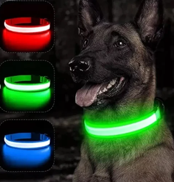 ¡Aumenta la Visibilidad y el Estilo de tu Mascota con Nuestros Collares LED!