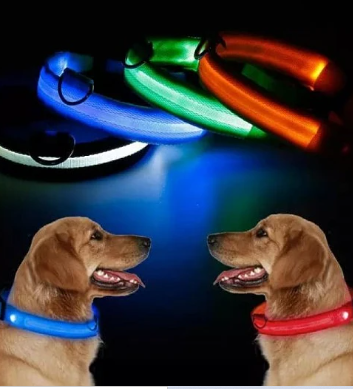 ¡Aumenta la Visibilidad y el Estilo de tu Mascota con Nuestros Collares LED!